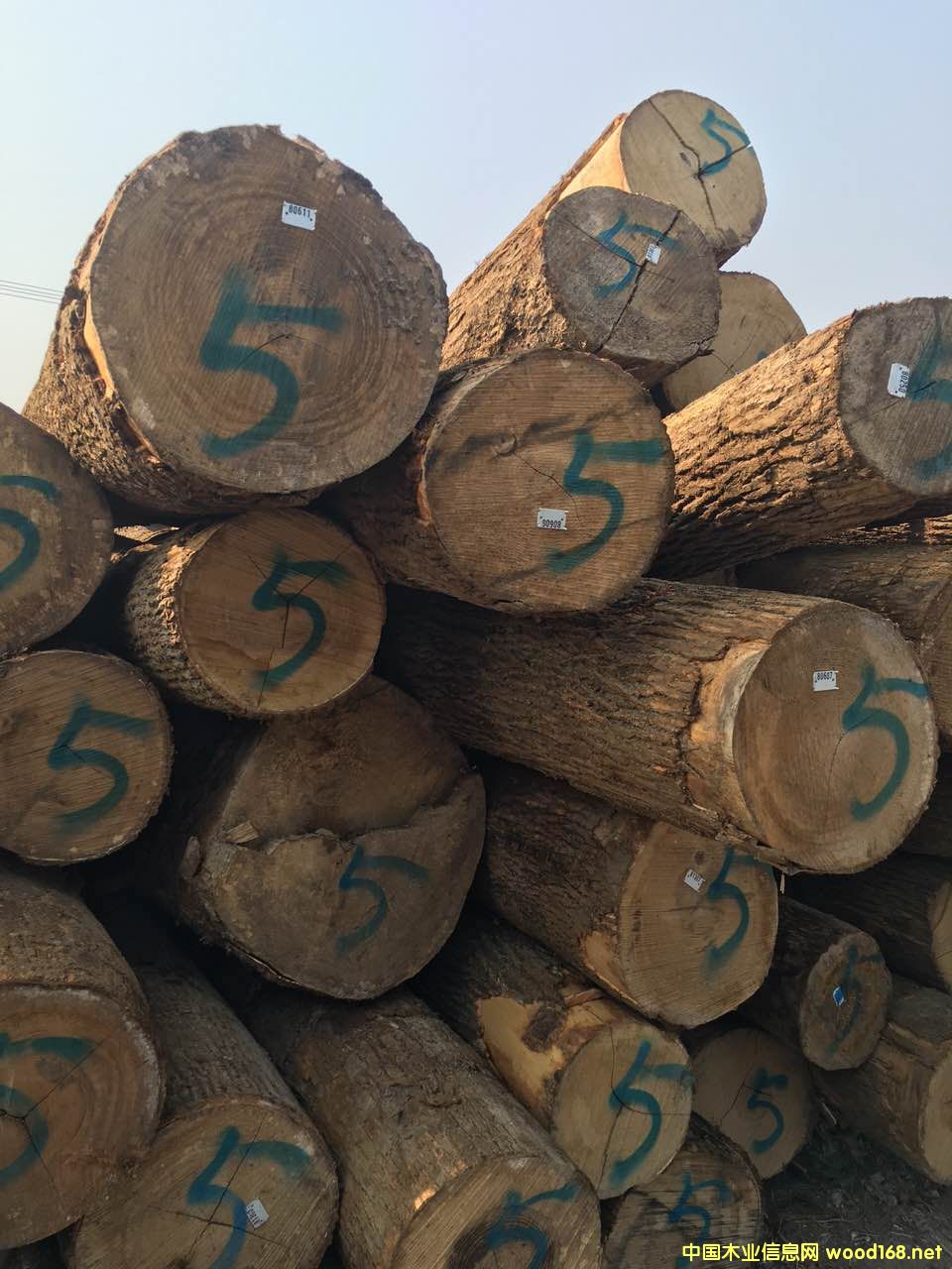 ��Ϟ?z��i)���Ԕ����B