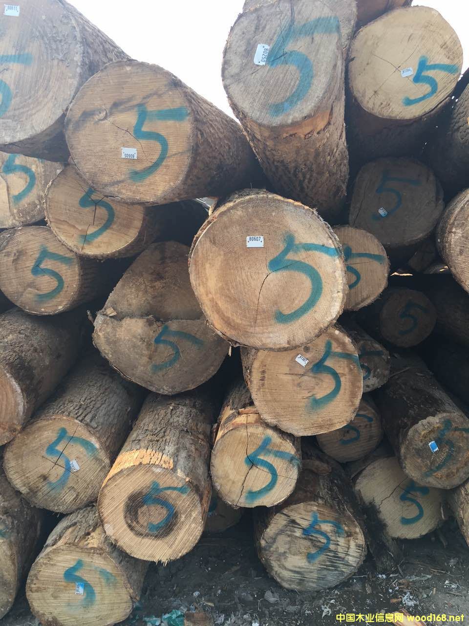 ��Ϟ?z��i)���Ԕ����B