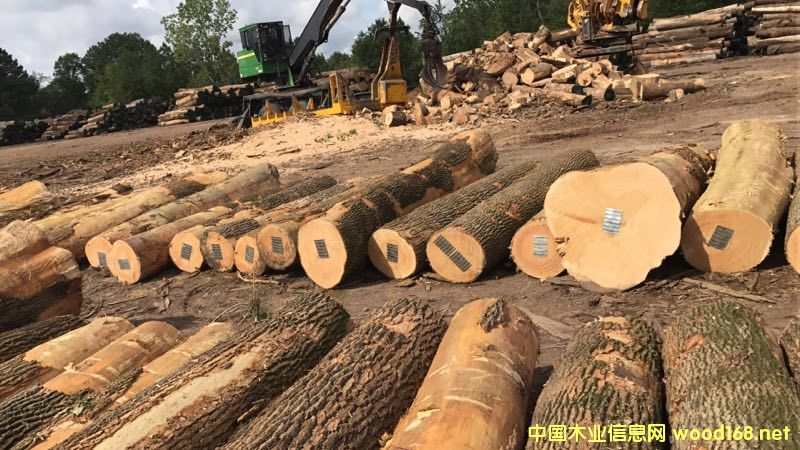 ��Ϟ?z��i)���Ԕ����B