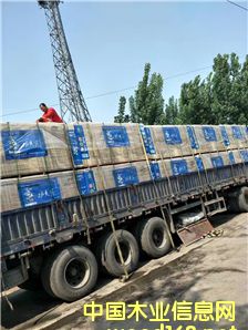 ���B(t��i)��