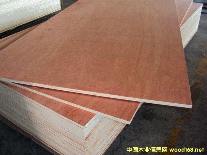 ��(sh��)ľ�N���ö��Ӱ����Ҿ߰�