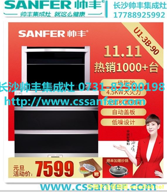 �Lɳ���S������