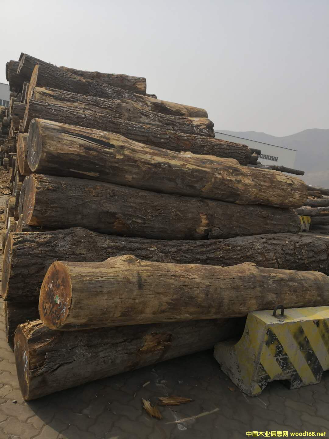 ����(gu��)�t��