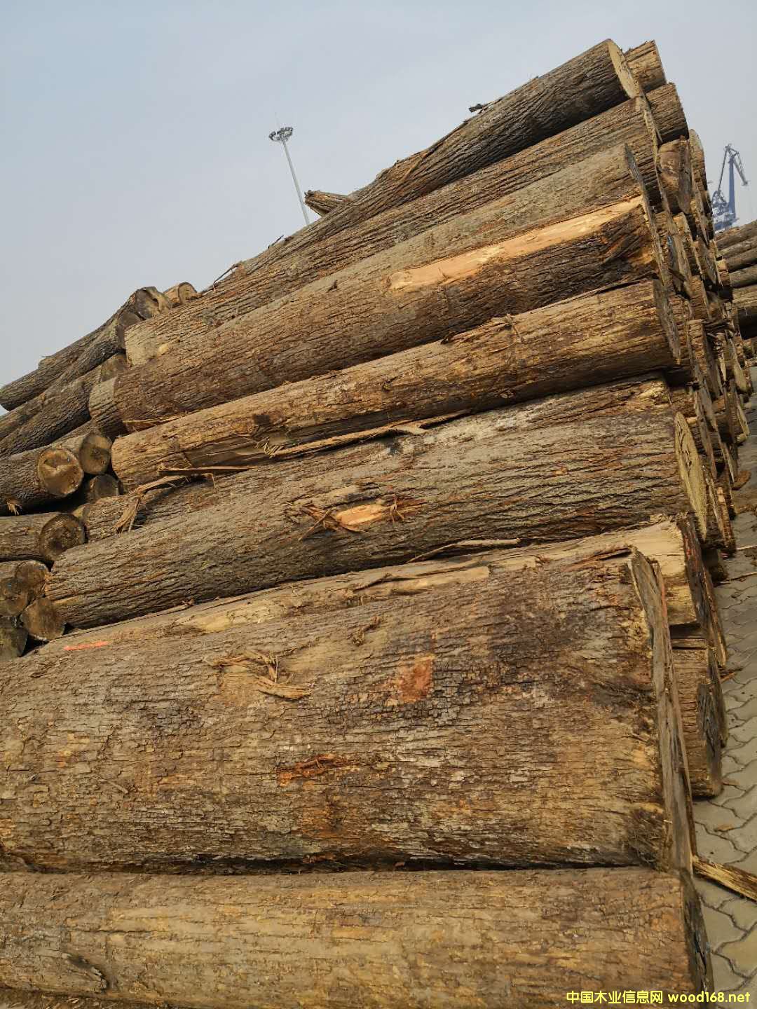 �����ľ��Ԕ����B