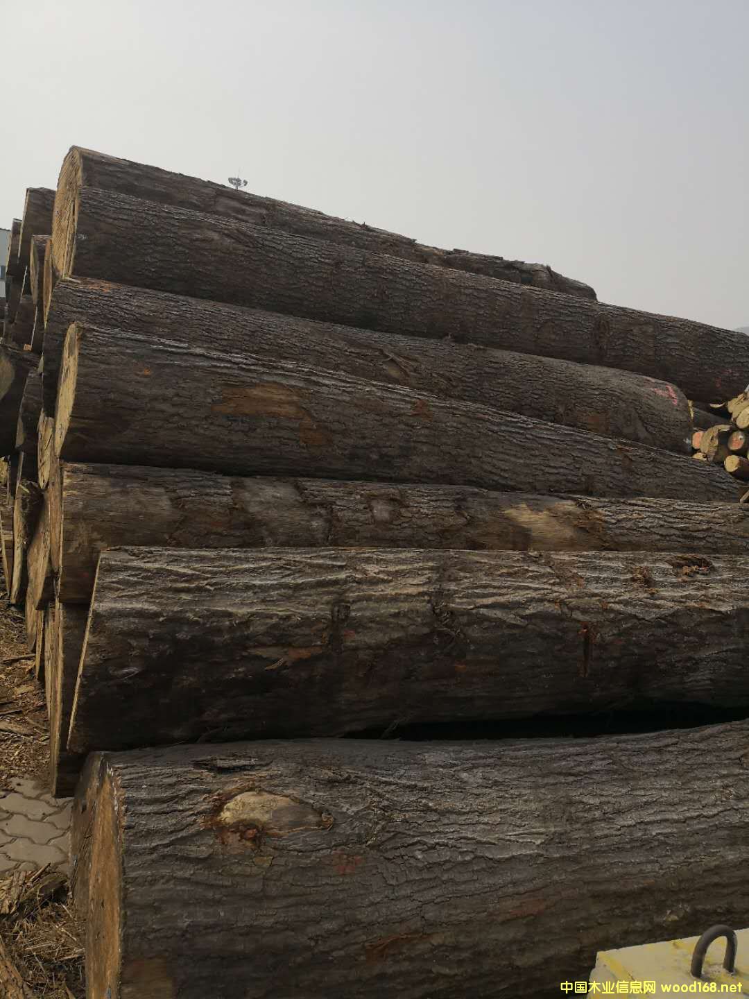 �����t���Ԕ����B