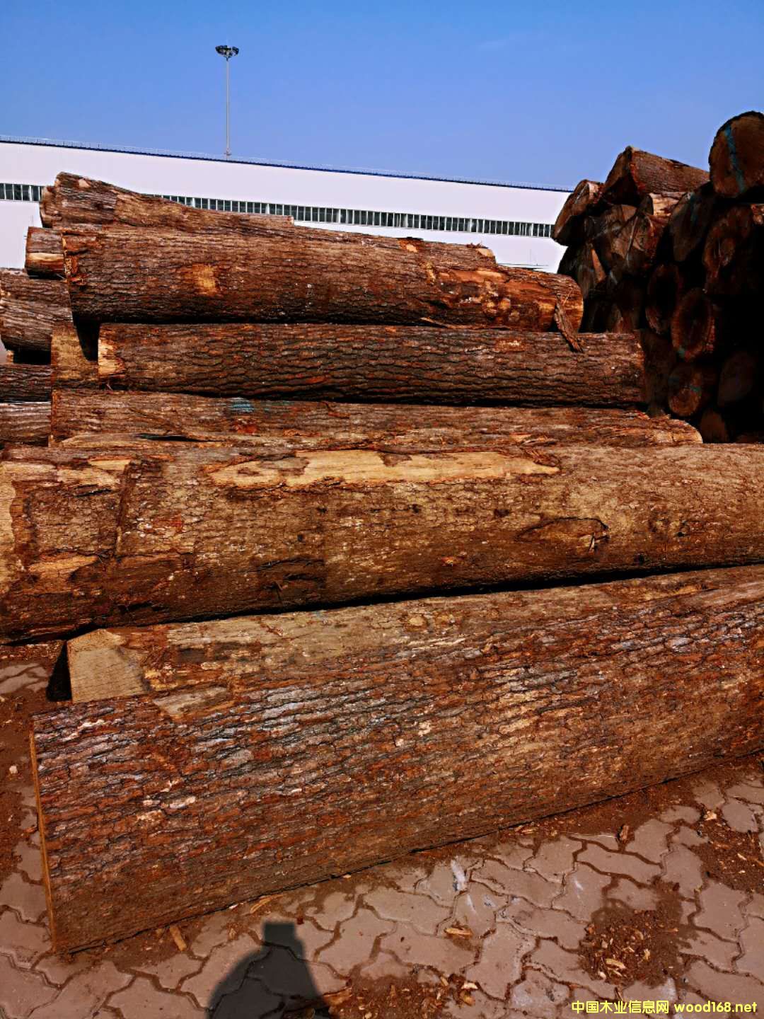 �����t��