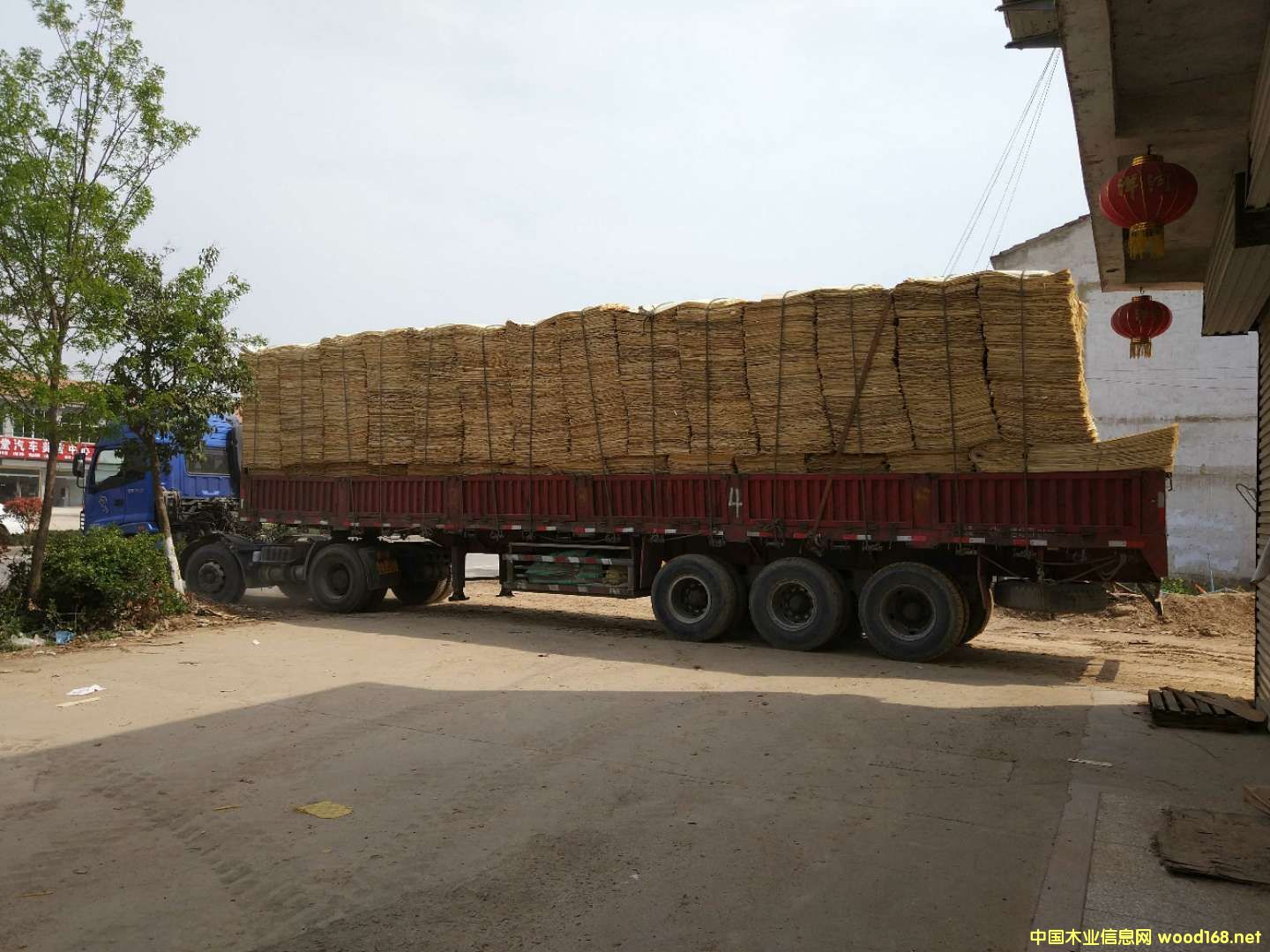 ��ľ�ΰ��Ԕ����B