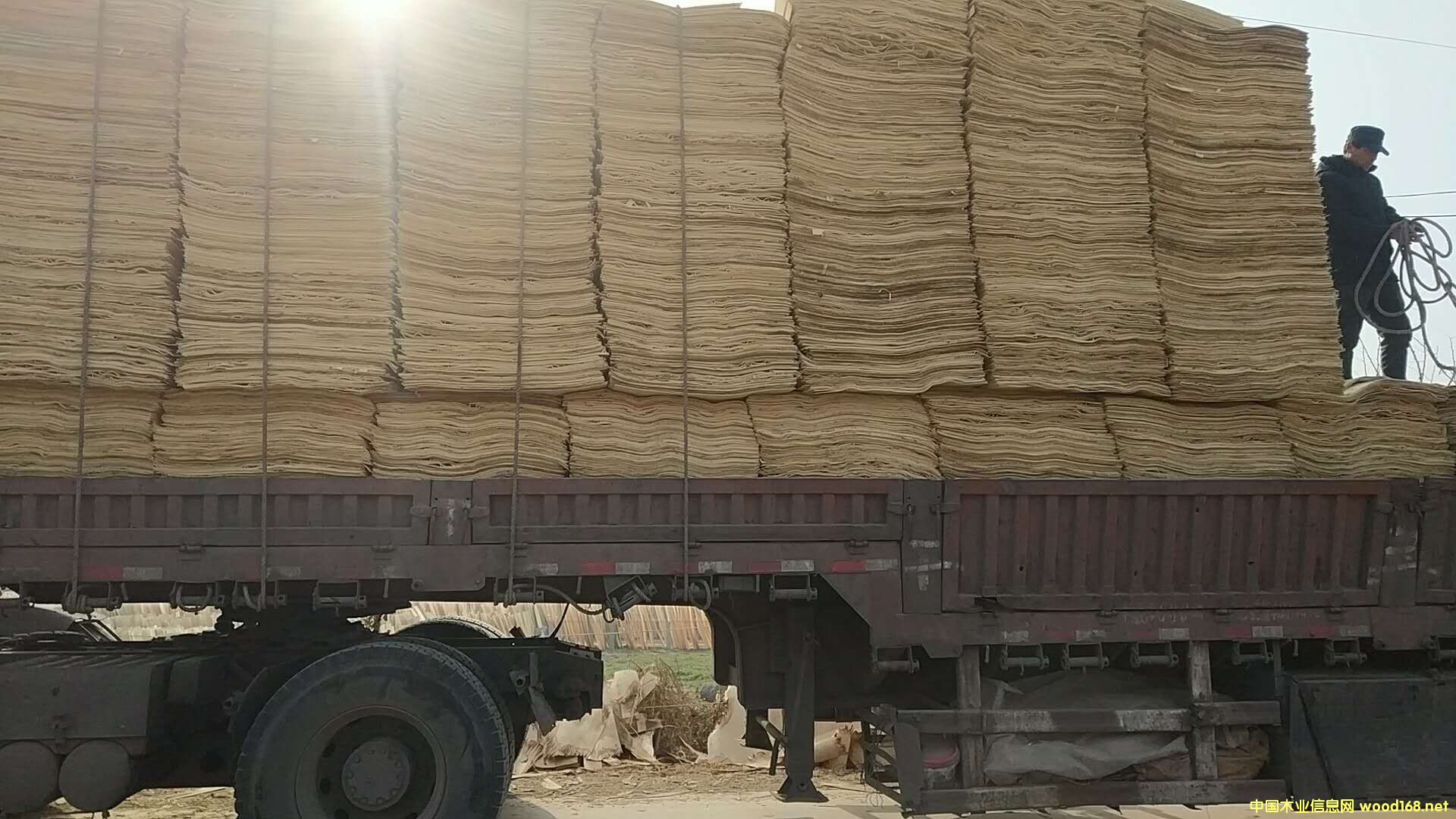 ��ľƤ�ӵ�Ԕ����B