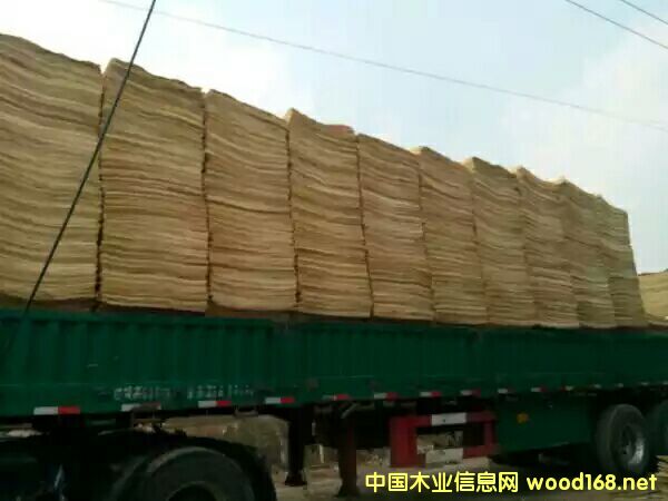 ��ľ��Ƥ��Ԕ����B