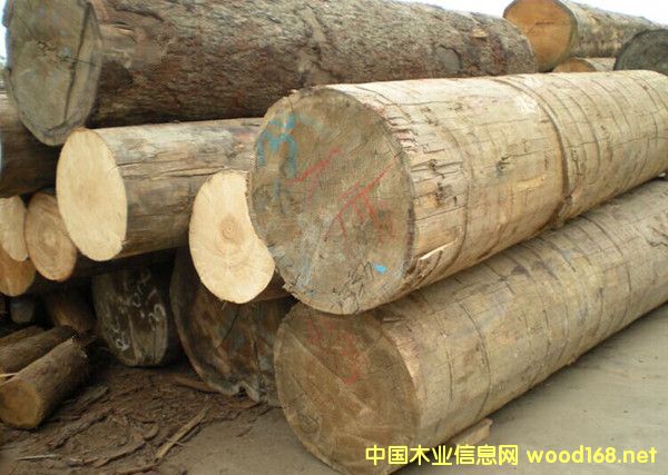 �����M(j��n)�ڰ���ԭľ