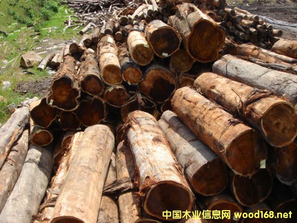 �����M(j��n)�ڴ��~��˼�R����˼ľԭľ