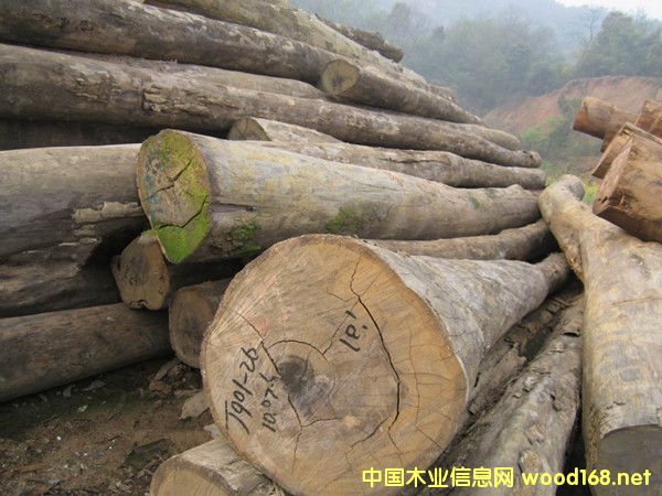 �����M(j��n)�ڴ��~�t̴ԭľ