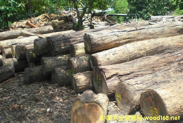 ��̴��~�S̴ԭľ