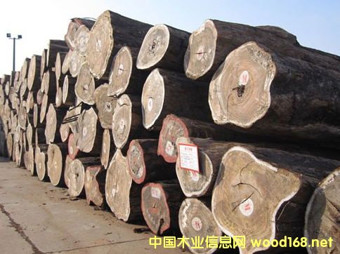 �����M(j��n)�ڼt���Rԭľ