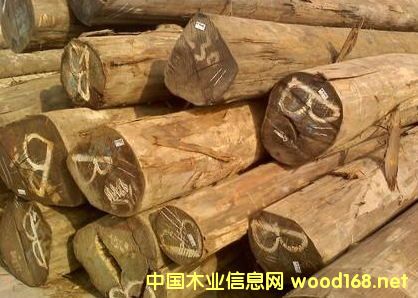 �����M(j��n)�ھ�����ľԭľ