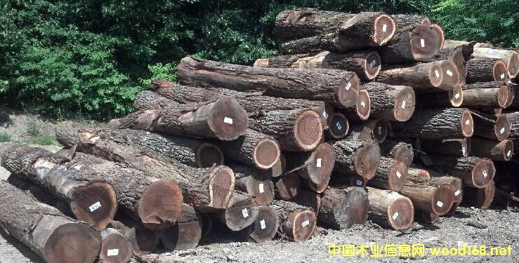 �����M(j��n)������(gu��)�ں���ԭľ