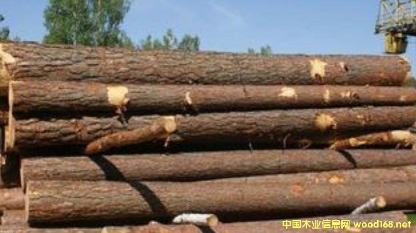 �����M(j��n)�ڶ��_˹������ԭľ