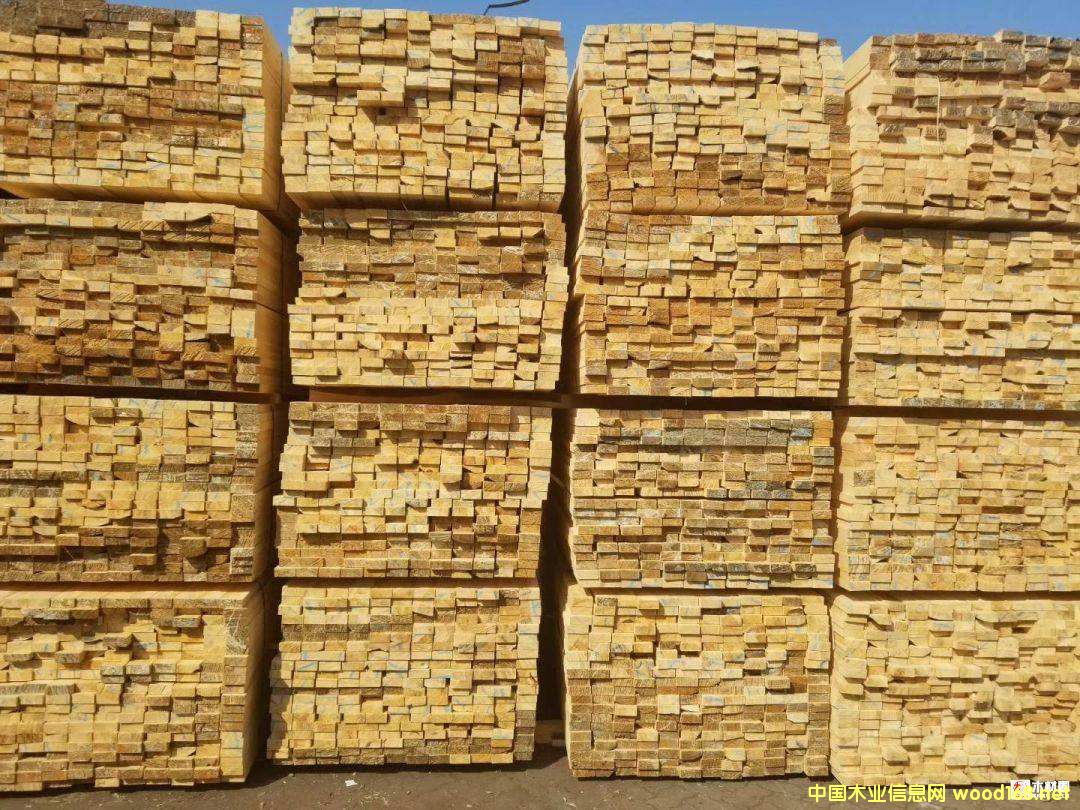 ���_˹���������~���������ɰ������ľ���~Ƭ