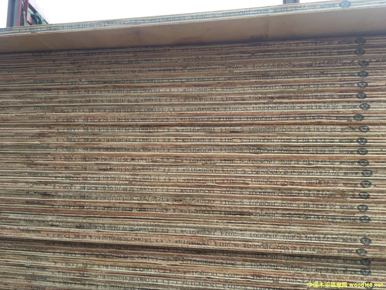 膠板的詳細介紹