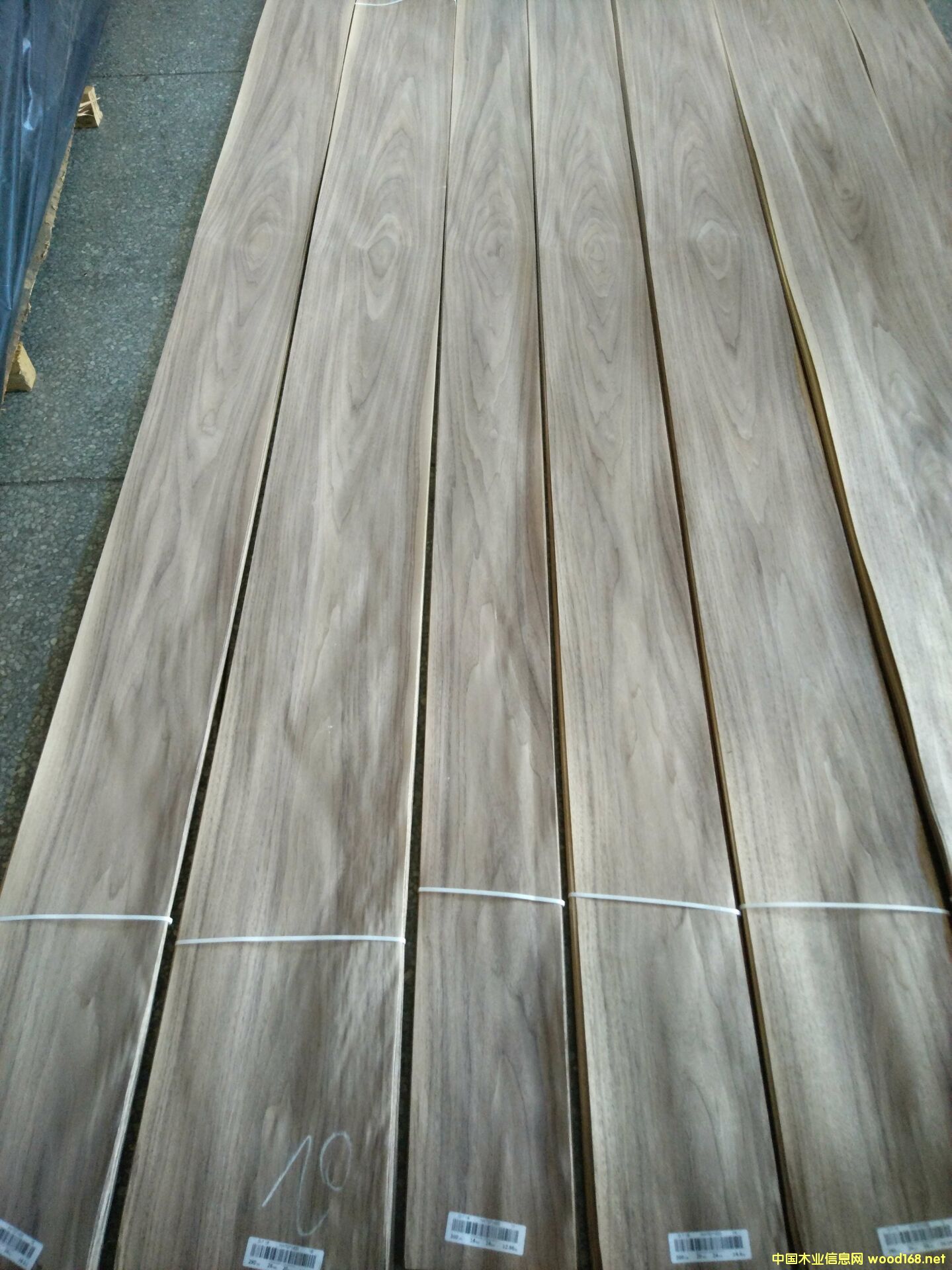 �ں���ɽ�y��Ԕ��(x��)��B