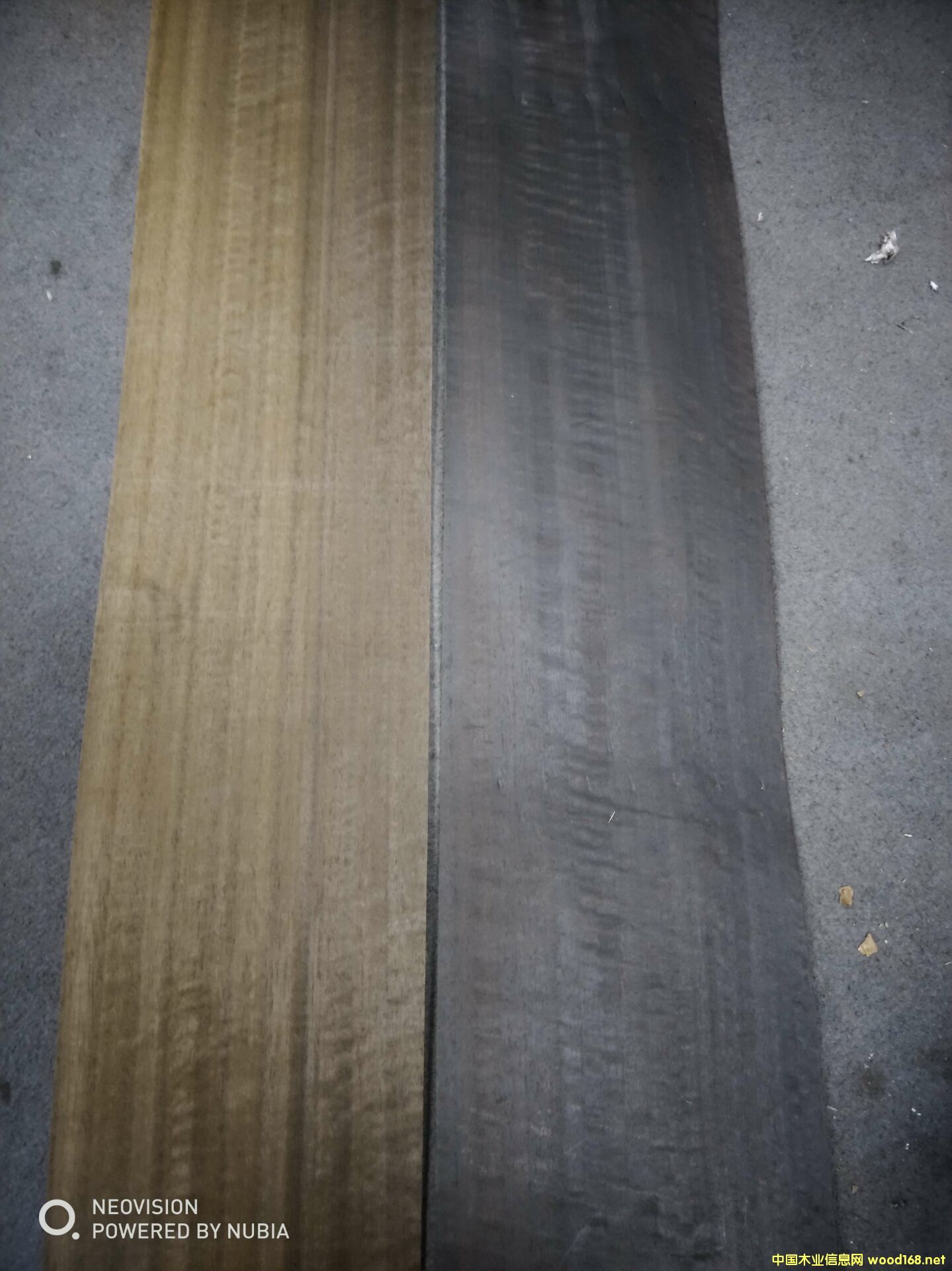 ȾɫľƤ��Ԕ��(x��)��B