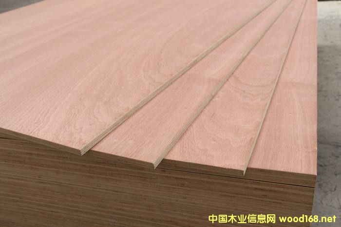 [��] ���Ӱ�