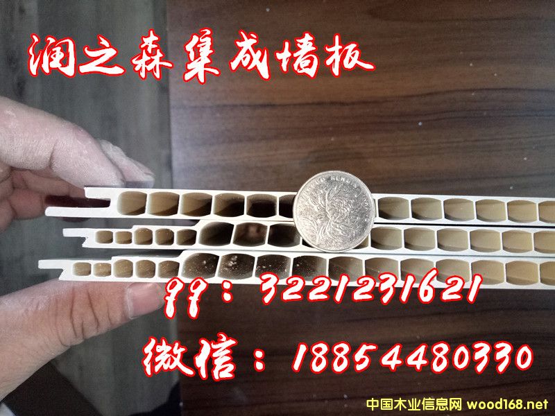 [��] ���ɉ���|���ɉ���|��ľ�w�S���ɉ���