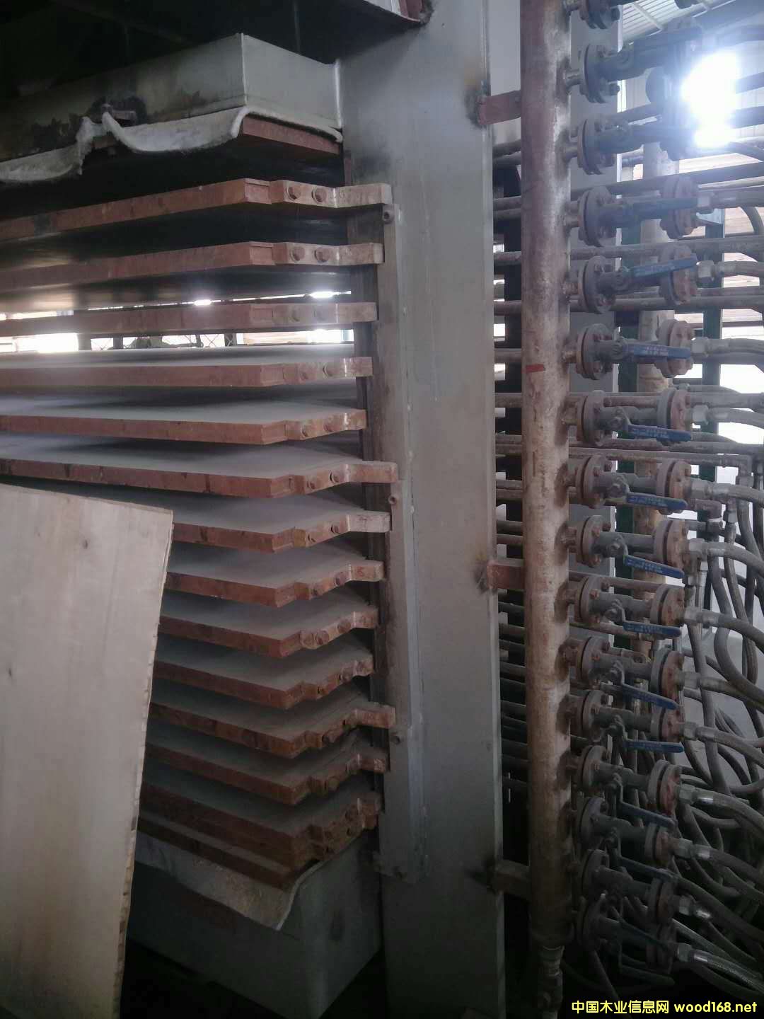 �İ˳�ʮ����ʮ��ቺ�C