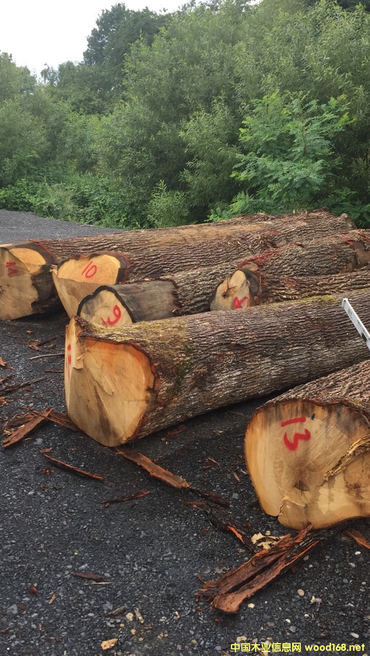 [��] �W����ľԭľ����(y��ng)