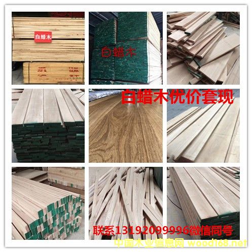 白蠟的詳細(xì)介紹