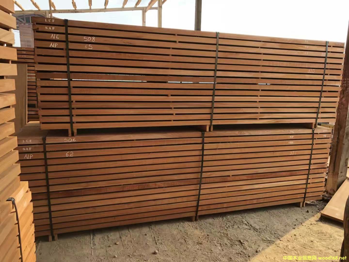 沙比利的詳細(xì)介紹