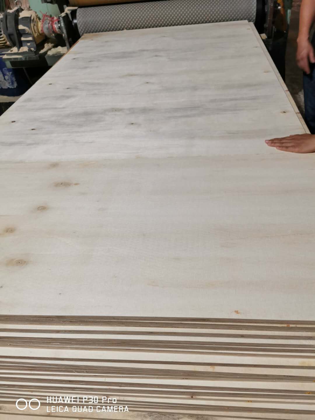 [��] �S��ֱ��12mm�Ҿ߰���b��ɳ�l(f��)����_�l���γ��Ͷ����z�ϰ�