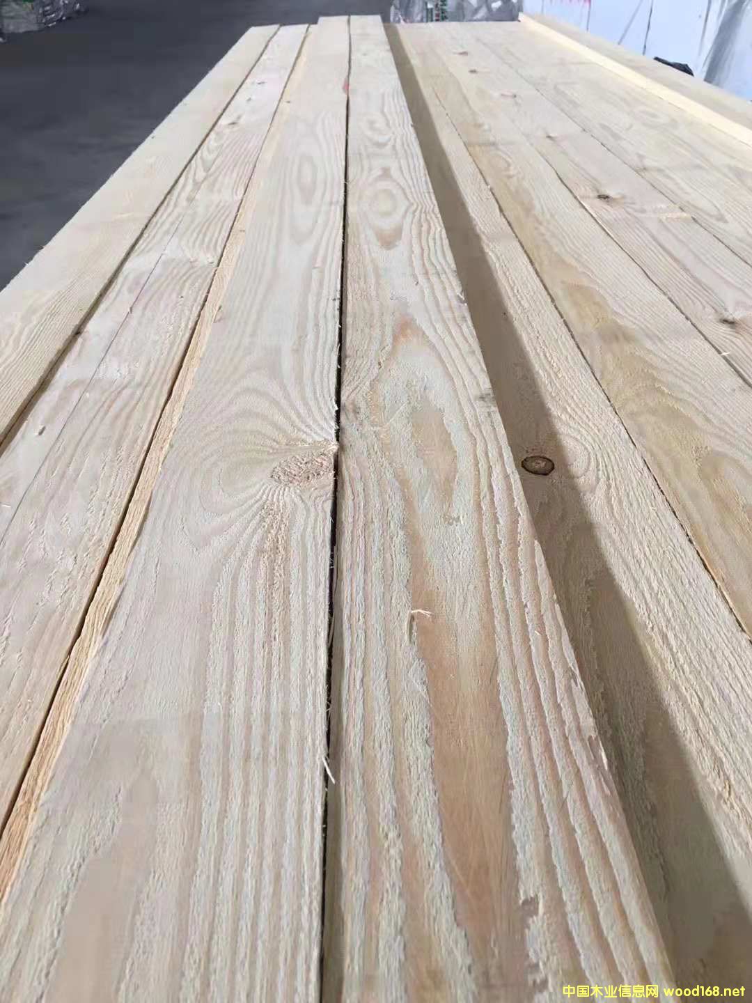 ������ ���ɰ��