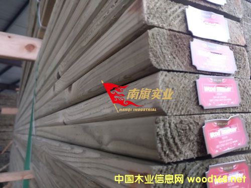 ���mľ�S��  ���mľ�����Xһ��