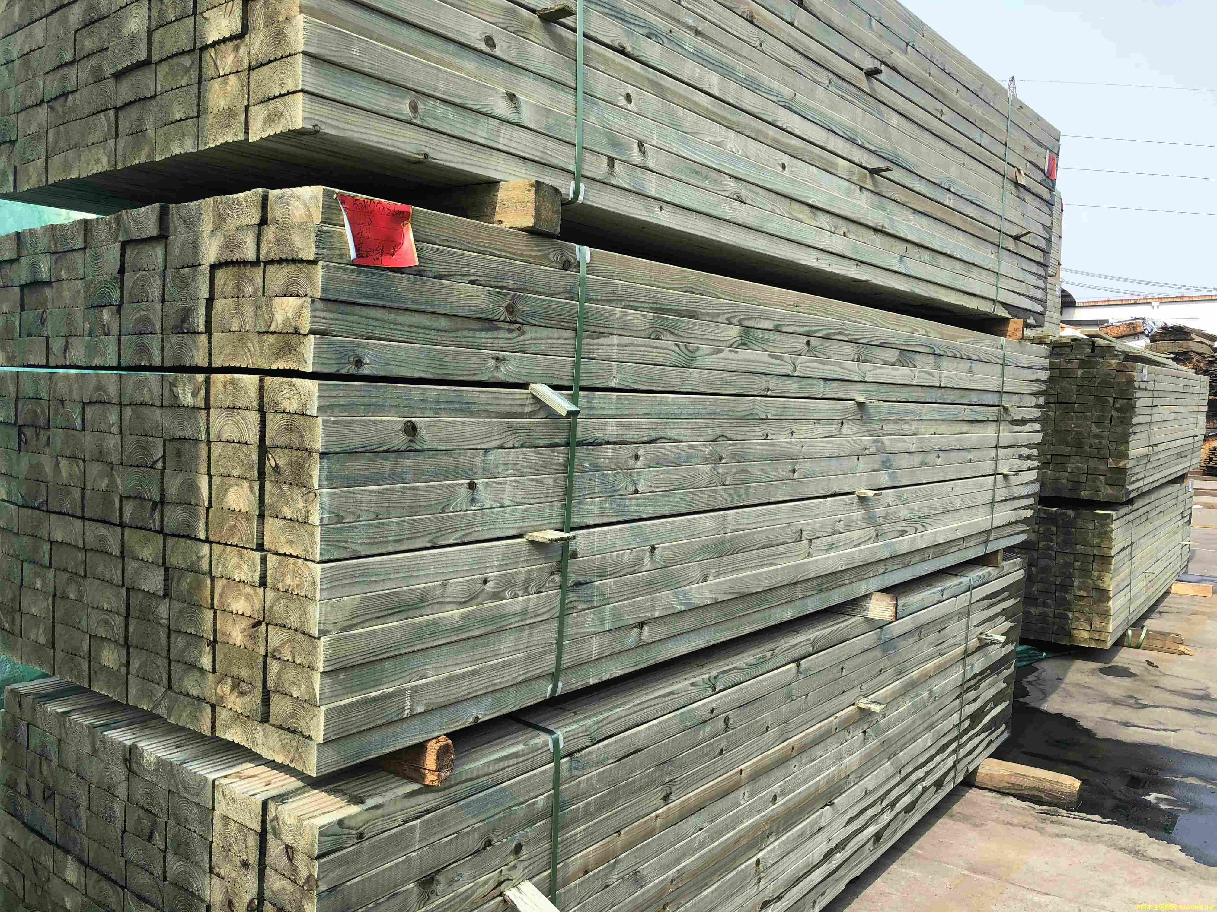 �Ϸ��Ɉ�r ̫�}�Ϸ��ɏS��