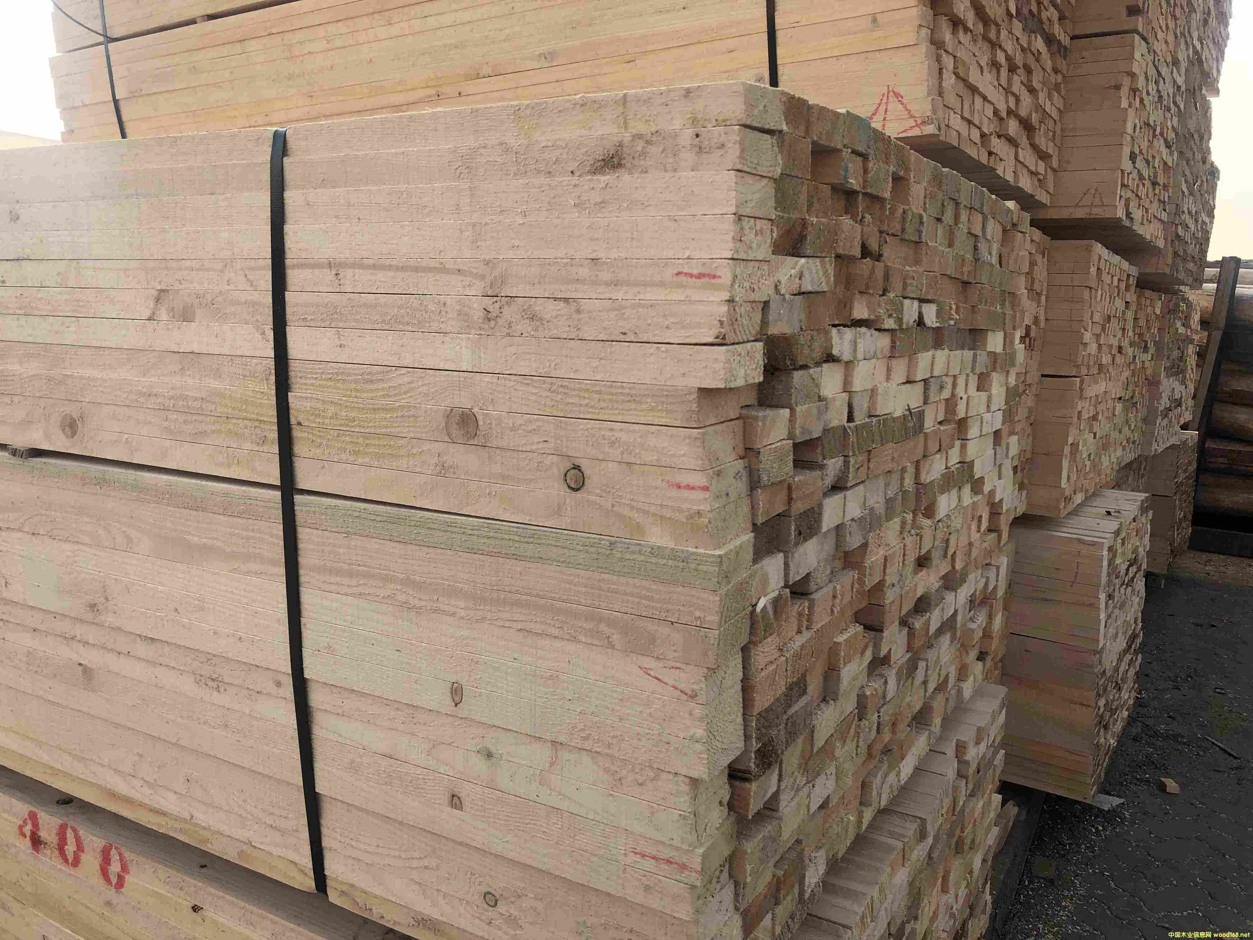 �Fɼ����ľ���S�� �Fɼľ���S��