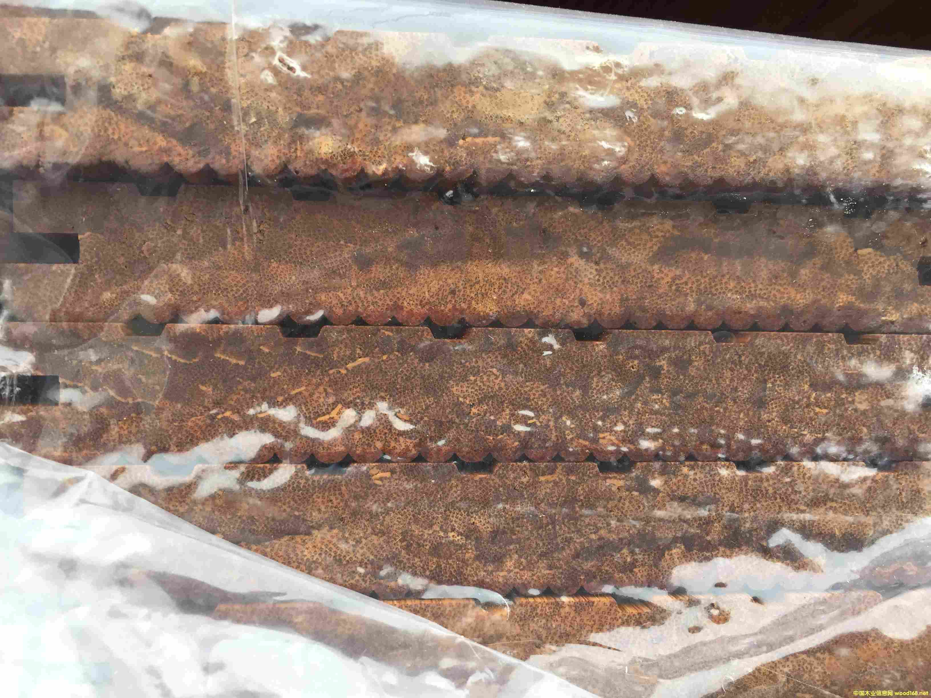 ��ľ�ذ��r ����ذ����a(ch��n)�S��