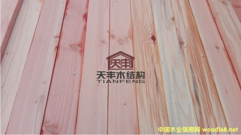 �Ϻ������ɏS�� ������ľ����r