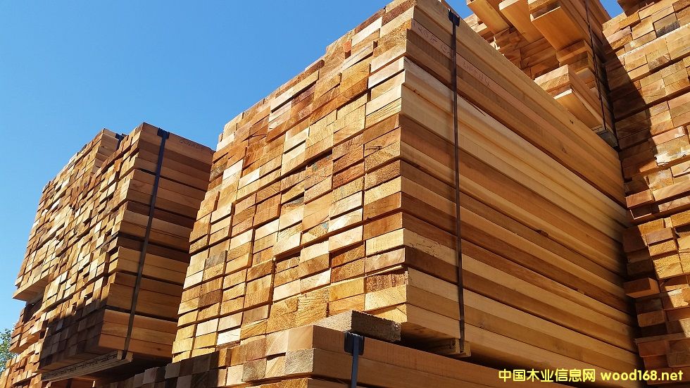 �tѩ����Ķ̰�