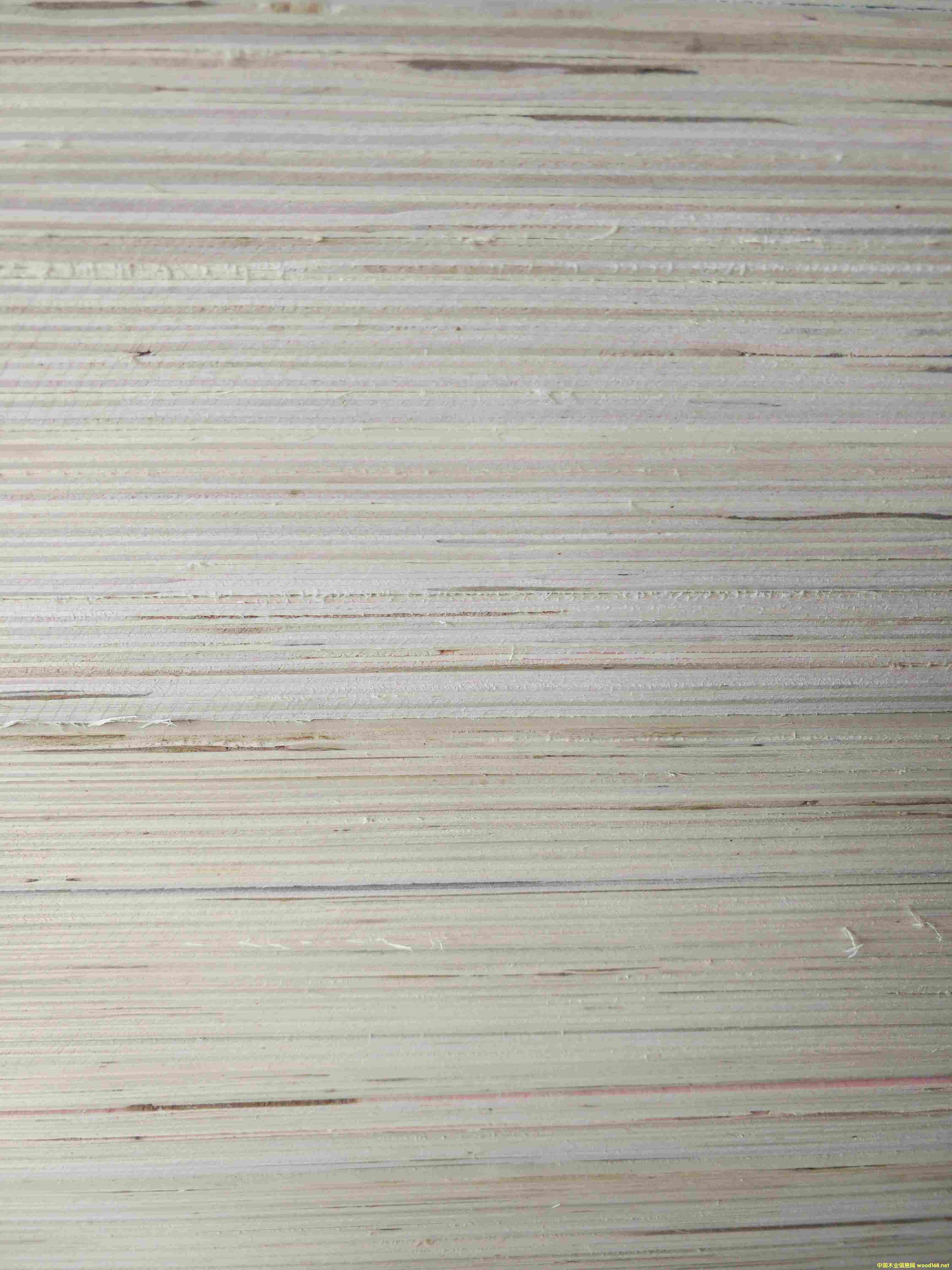 ��6����Ӱ�