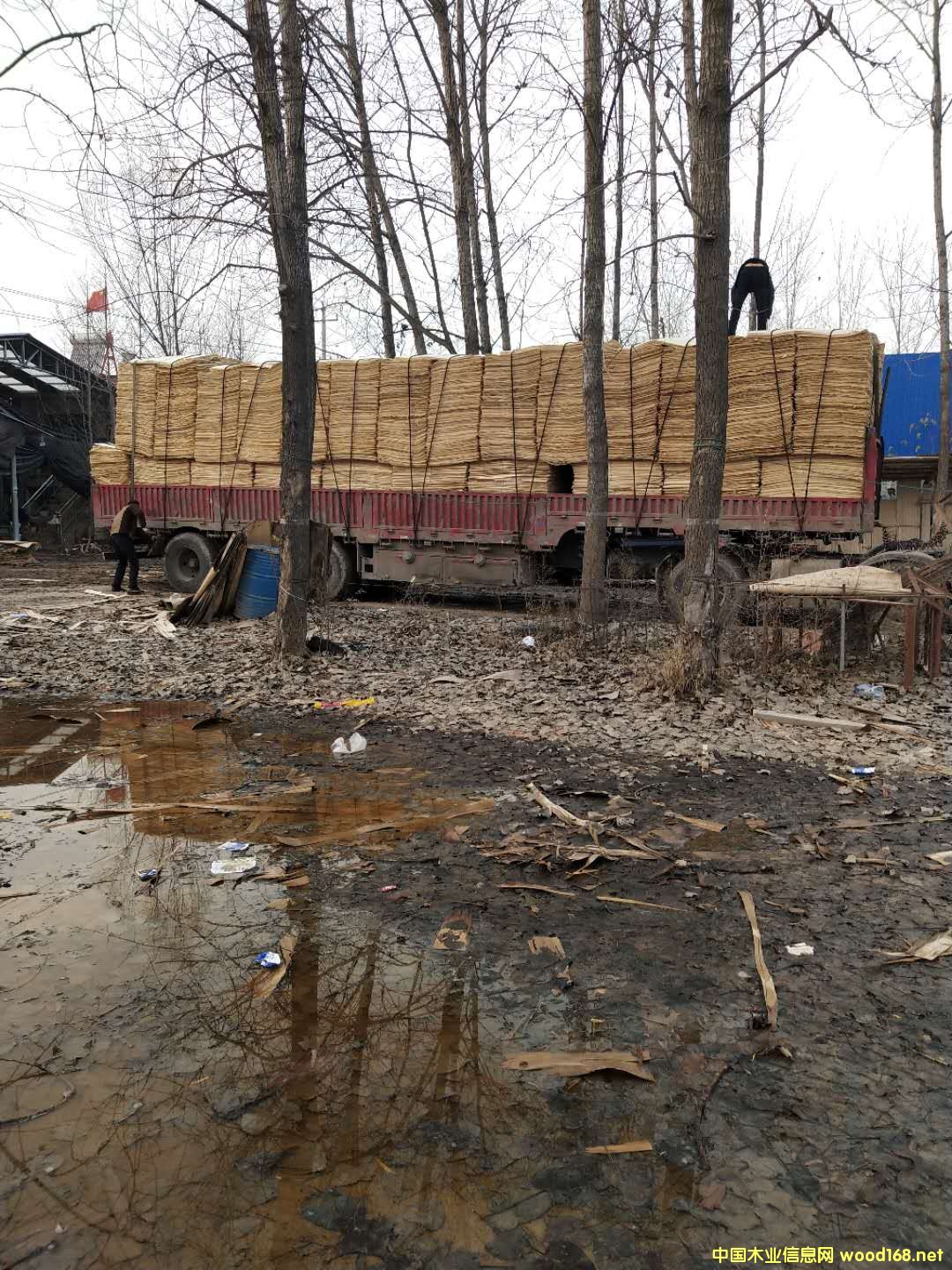 ��ĵ�Ԕ����B