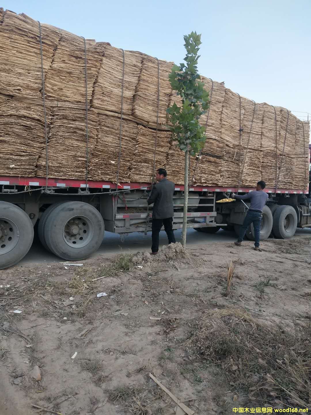 ��ĵ�Ԕ��(x��)��B