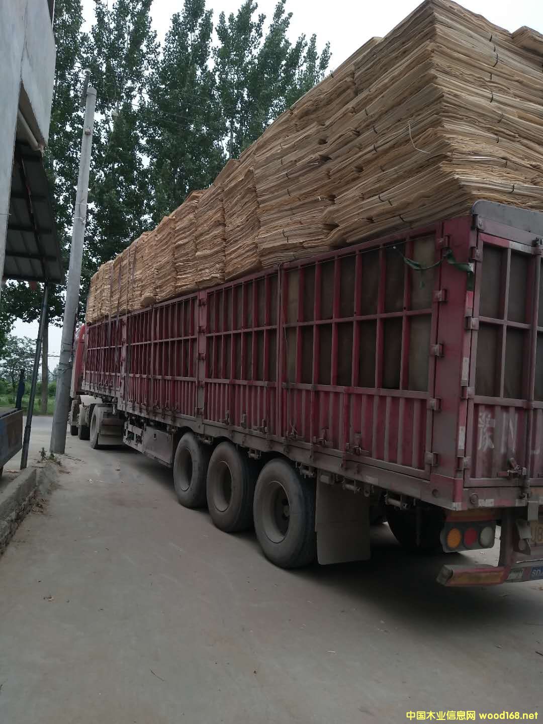 ��ĵ�Ԕ��(x��)��B