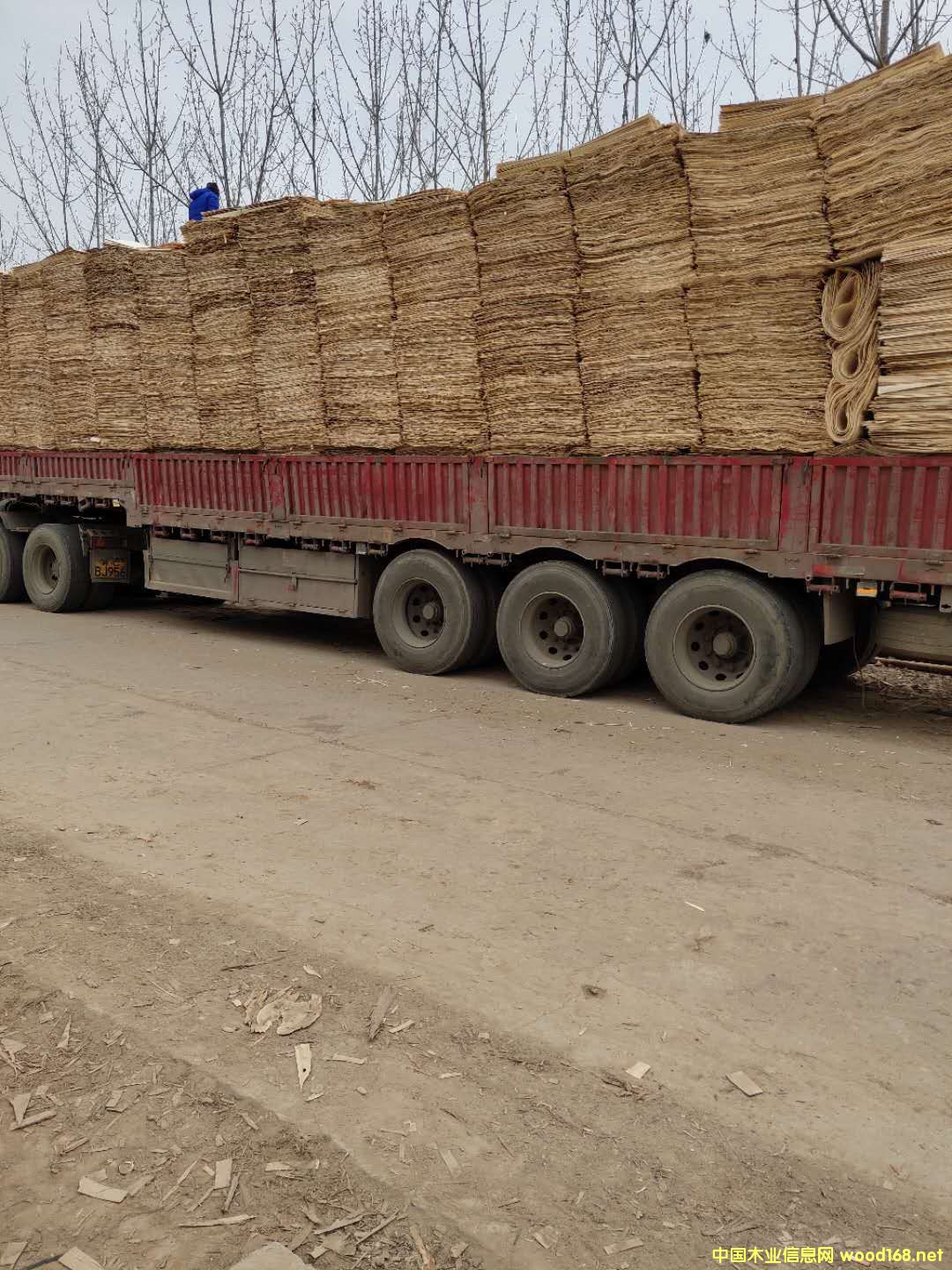 ��ĵ�Ԕ��(x��)��B