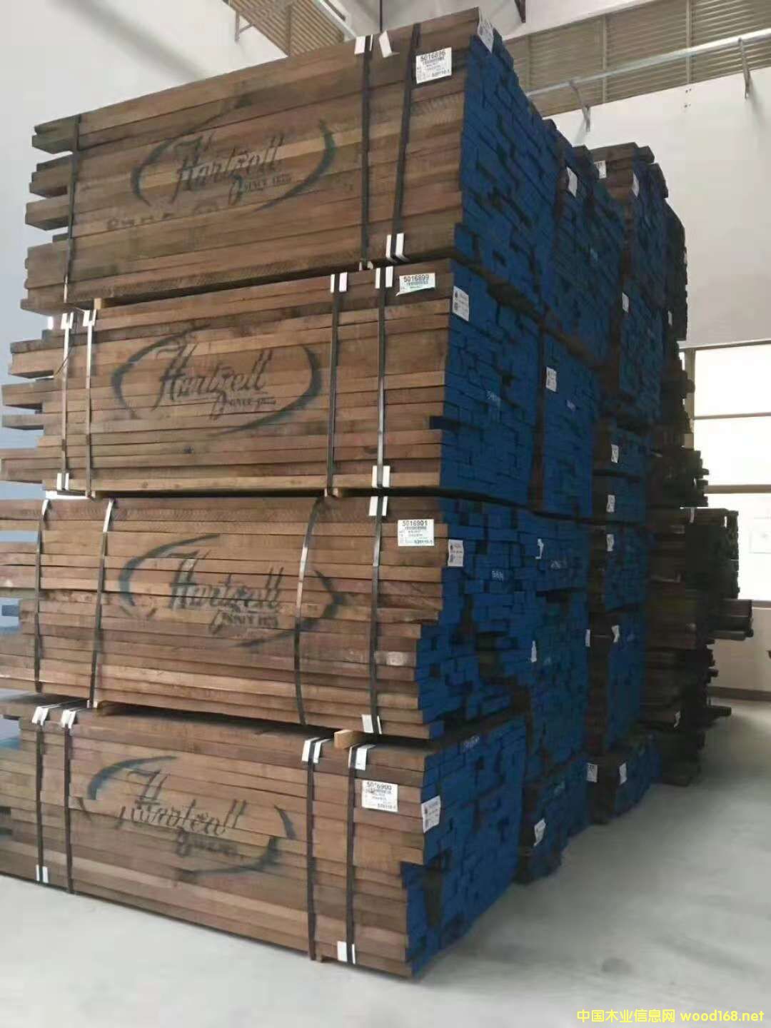 高品質(zhì)黑胡桃 高品質(zhì)黑胡桃