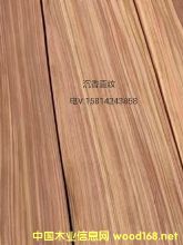 ��(y��u)�|��Ȼ����ֱ�yľƤ