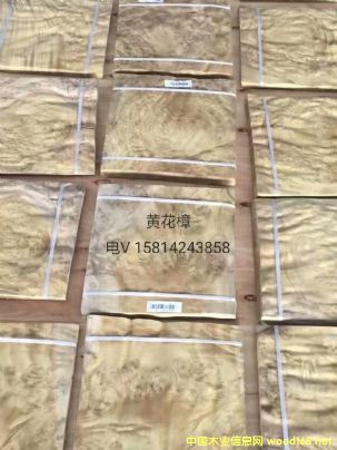 ��(y��u)�|(zh��)��Ȼ�S����ľƤ