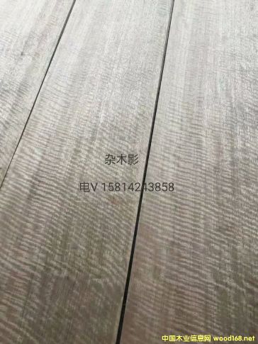 ��(y��u)�|��Ȼ�sľӰľƤ
