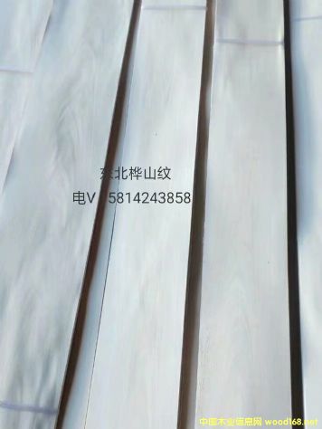 ��(y��u)�|��Ȼ�|����ɽ�yľƤ