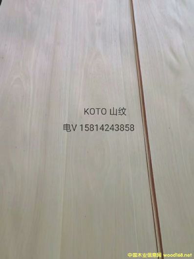 ��(y��u)�|(zh��)��ȻKotoɽ�yľƤ